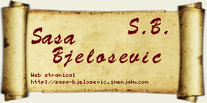Saša Bjelošević vizit kartica